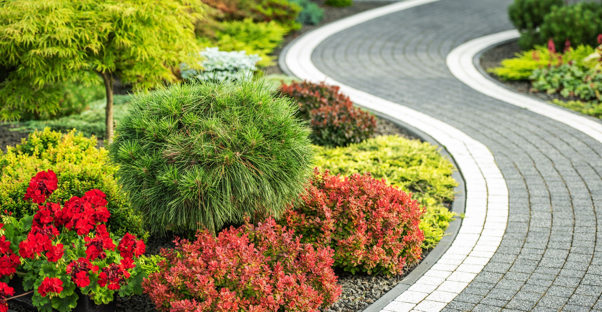 Elegant Winding Concrete Bricks Made Back Yard Garden Pathway