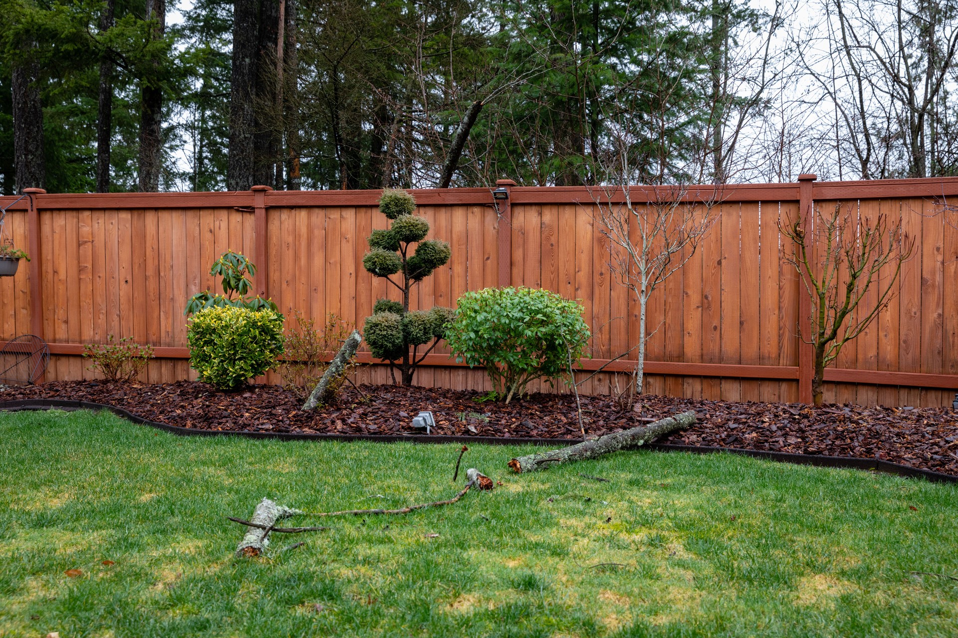 Rotten Tree Fell on the Top of a Fence, and Shattered in Multiple Pieces due to High Winds During Winter - Close up